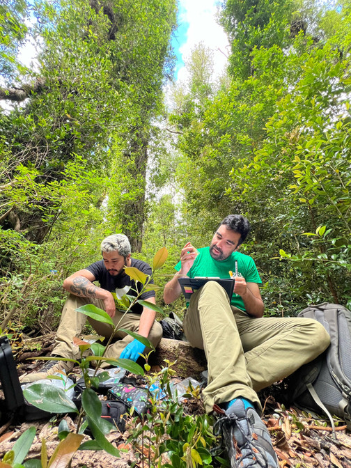 2 personas sentadas en el bosque