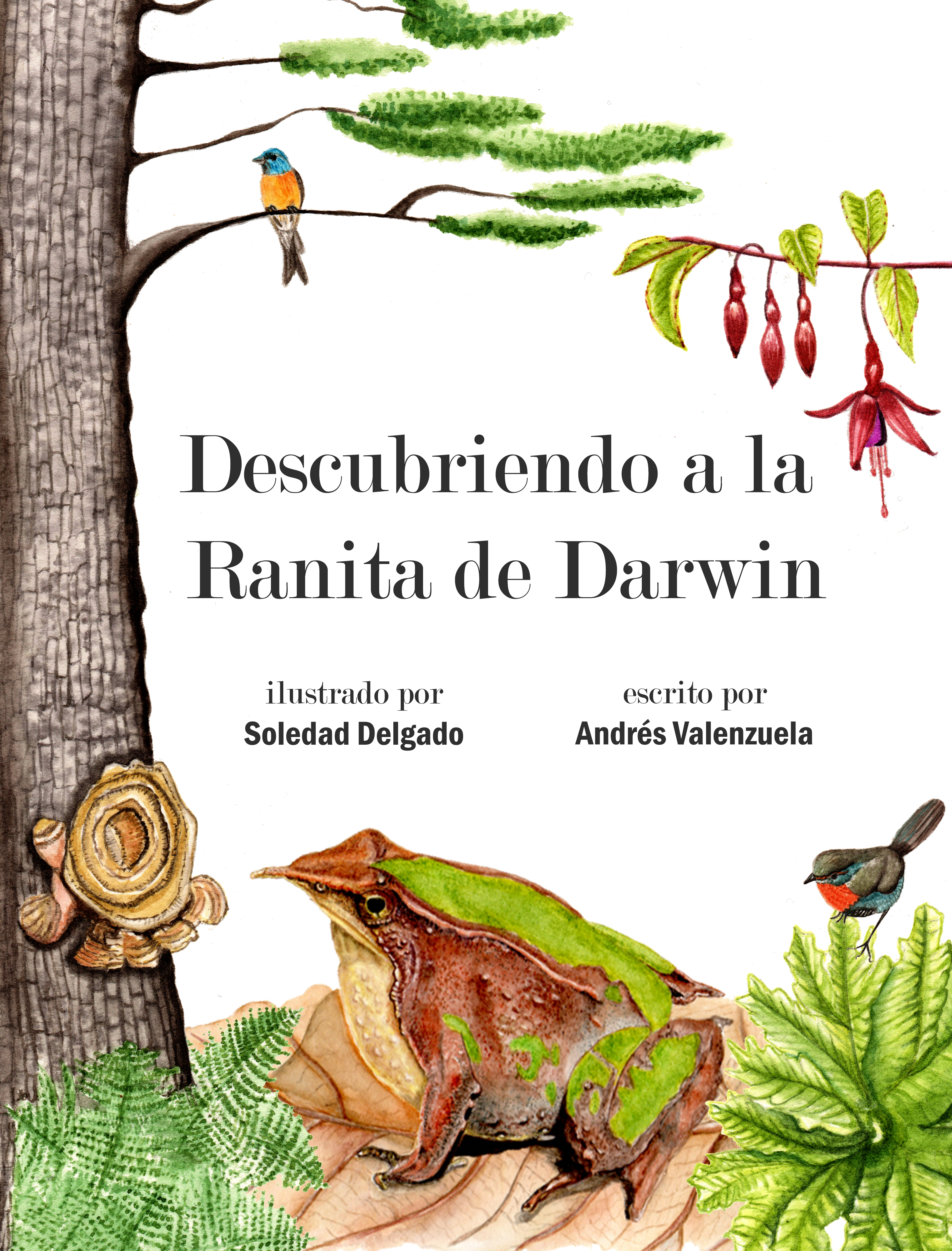 Libro