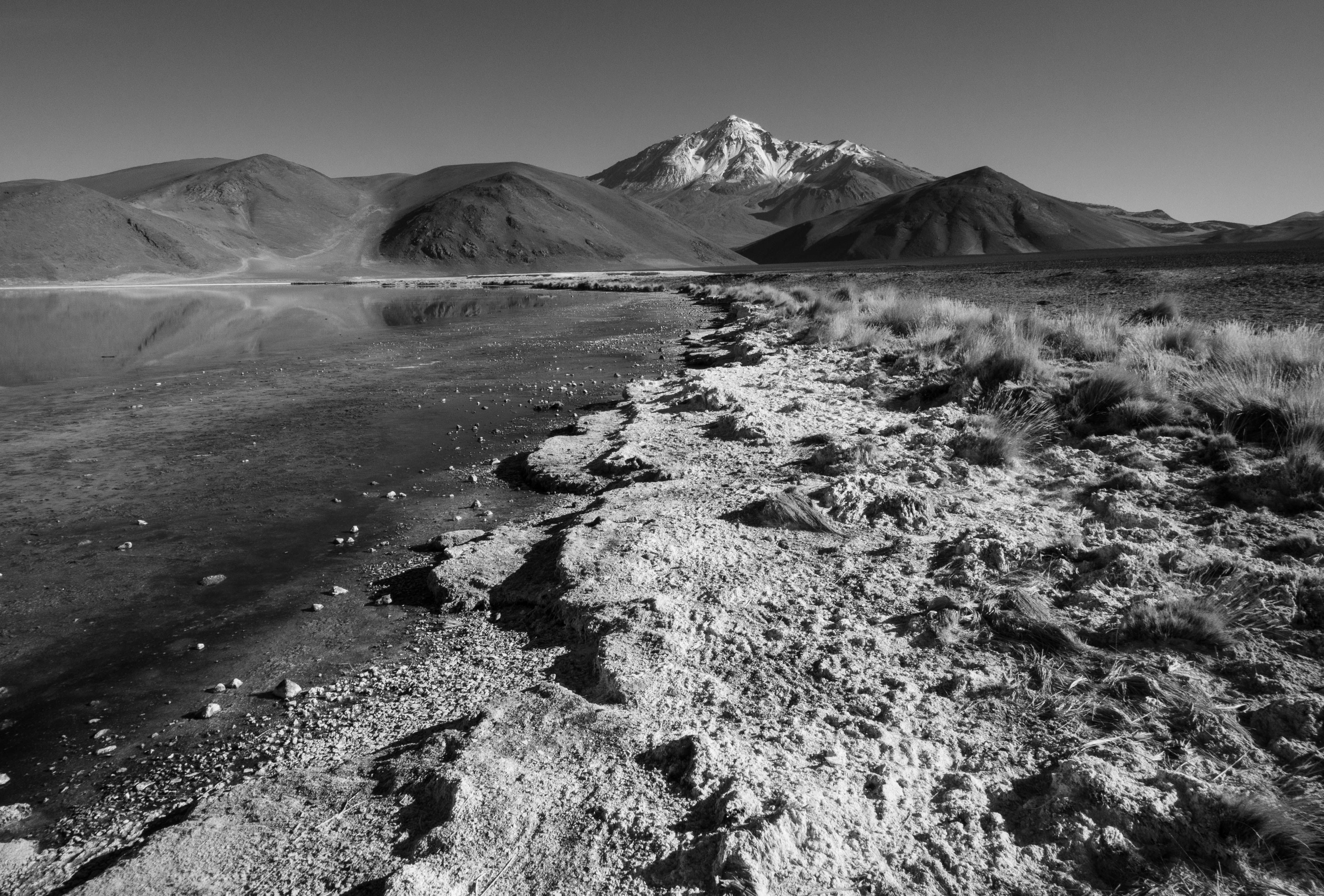 Volcán Socompa  desde la laguna