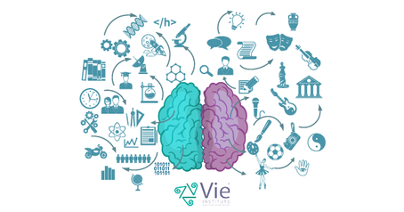 Neuroplasticidade e seu papel no processo de reabilitação