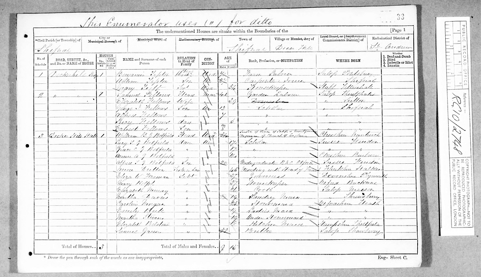 page from the census