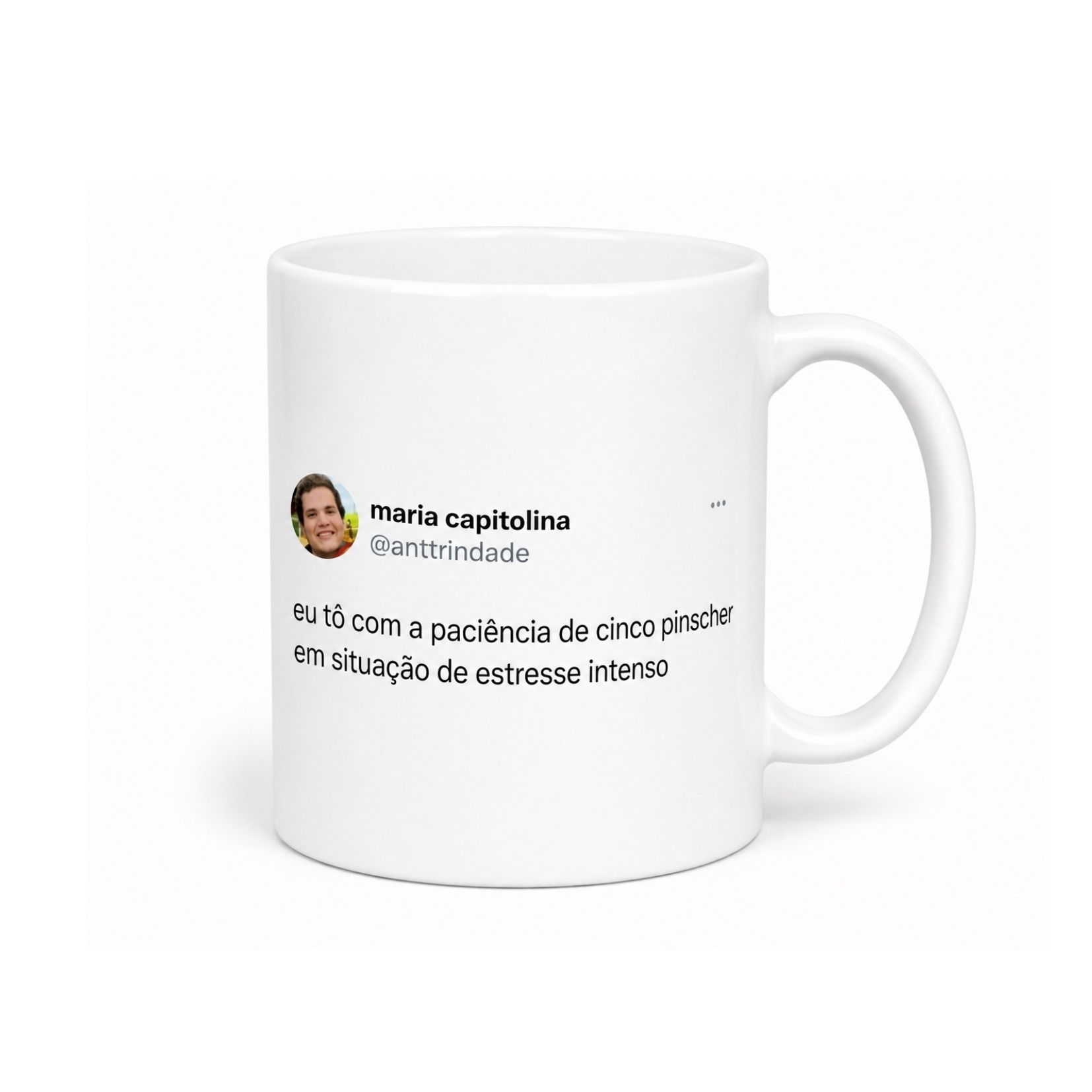 Caneca Meme "Tô com a paciência de 5 pinscher"