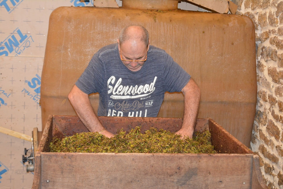 vendanges 2023 (25)