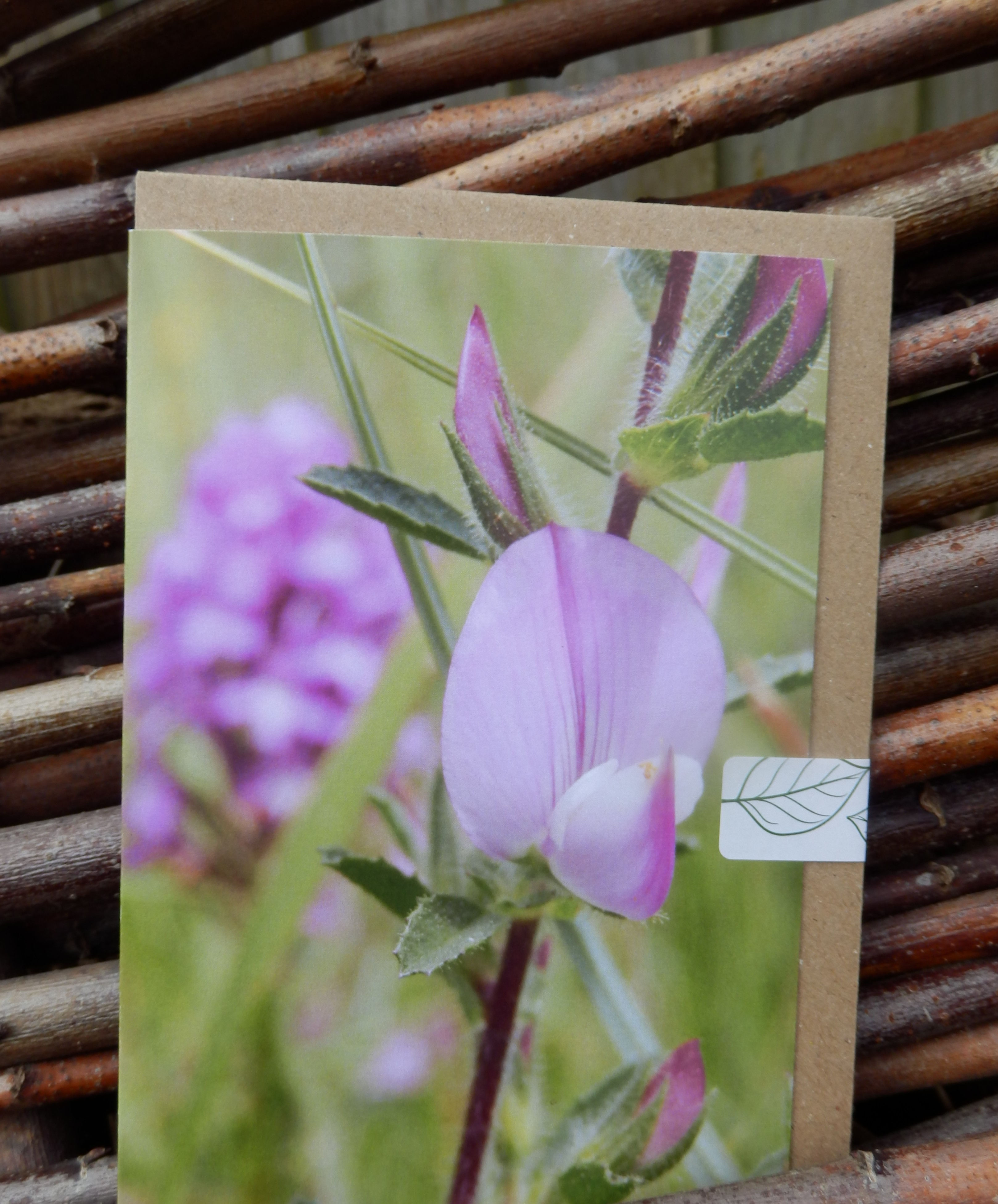Floral Ceratopsid A5 Greetings Card