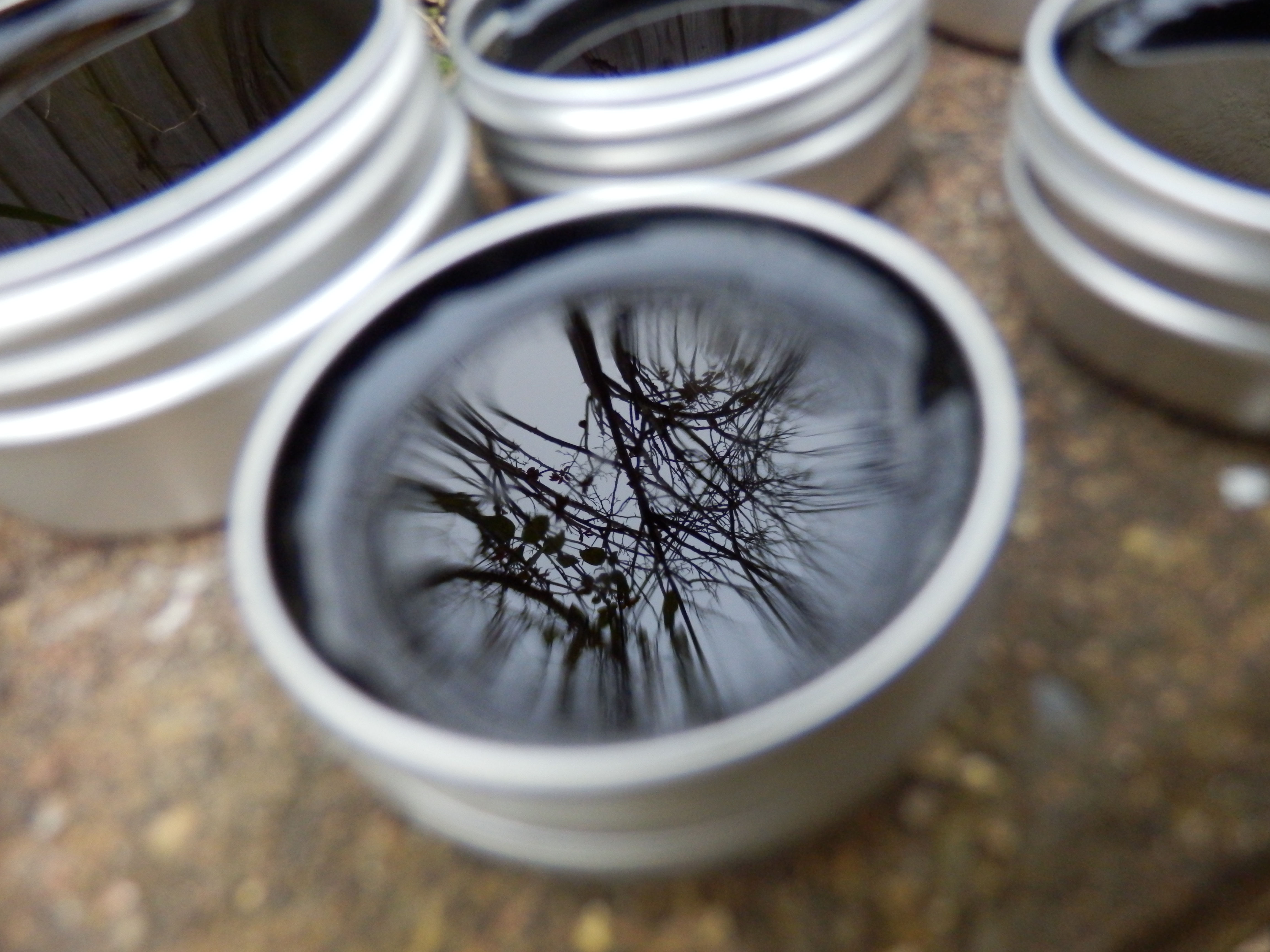 Birch Bark Glue