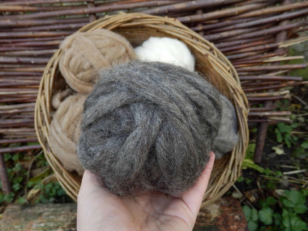 Thumbnail: East Anglian Rare Breed Roving