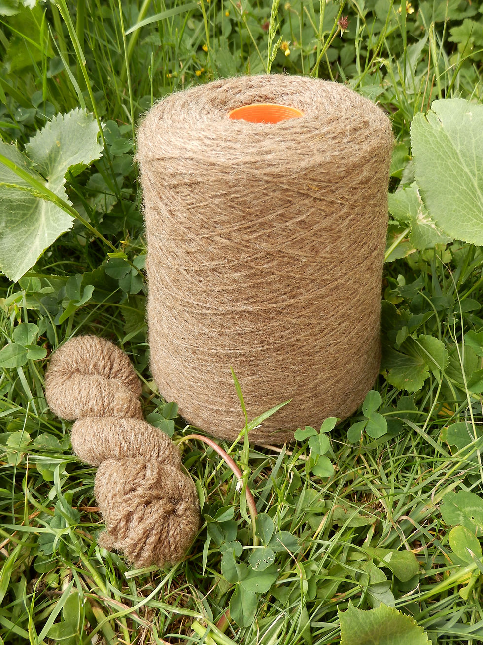 Thumbnail: Breedon Flock Manx Loagtan 4ply
