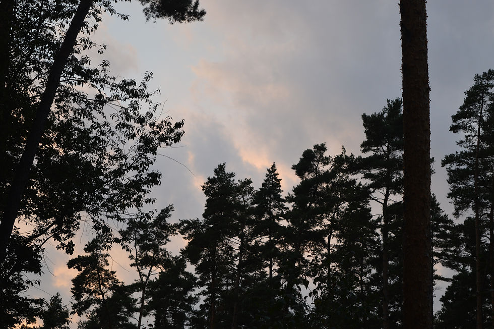 DSC_0813