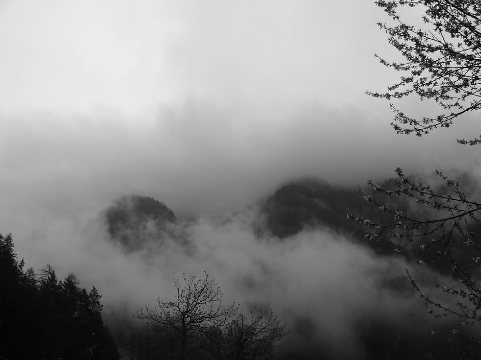 DSC02592