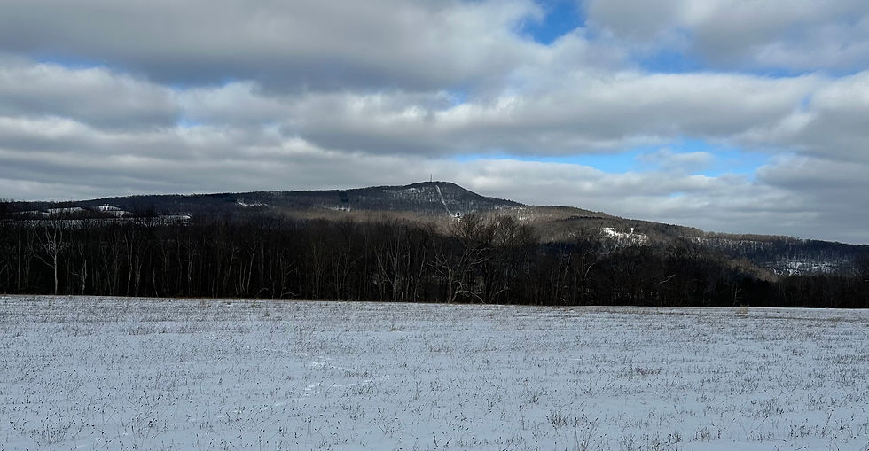 View of the South Knob of Elk Mountain beyond the Arctic tundra