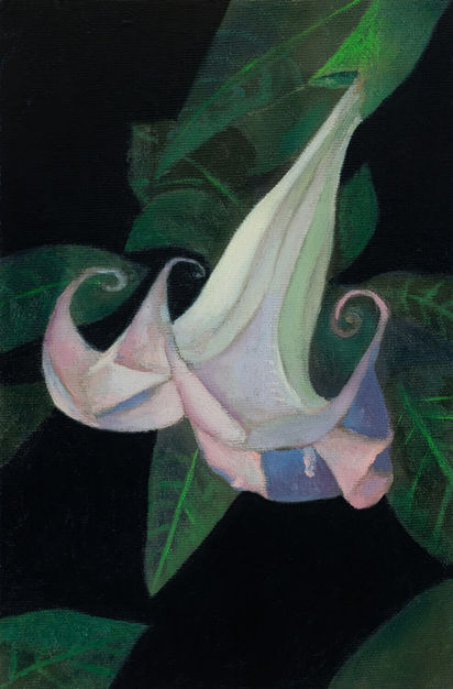 Oil painting Datura by Doron Akiva