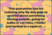 image (32).png
