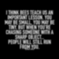 image (26).png
