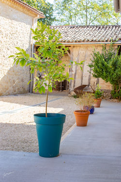 023-IMG_0555_isasouri