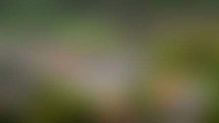 85452 Eichenried: Fertigstellung Rohbau, Estricharbeiten sowie Innen- & Außenputz, Beginn Innenausbau