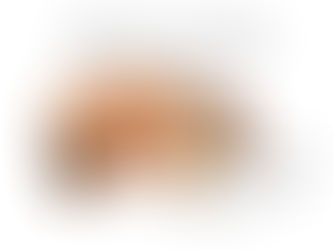 Diagram illustrating the cross-section of a tree trunk, showing the bark, cambium, sapwood, heartwood, and growth rings, with a focus on the vascular system.