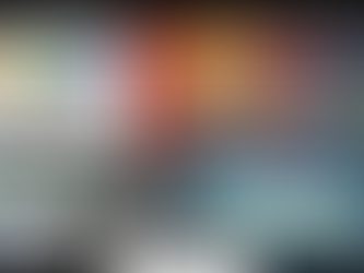 Infographic titled 'The 48-Hour Rule: Acid vs. Paint'. Top panels illustrate the high acidity of love bugs and bird droppings (pH 3-4.5) and the 'Heat Trap' thermodynamics where paint pores expand in Florida heat to let acid in, then close at night to trap it. Bottom panels show the resulting permanent 'Type II Etching' crater in the clear coat versus the solution: a 'Sacrificial Barrier' of ResistAll Paint Protection blocking the acid. Branded by Pauls Details 904.