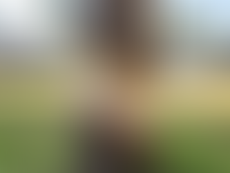 Close-up, eye-level photo of the base of a tree trunk in a sunny backyard. A significant band of outer bark has been shredded and removed, exposing the lighter-colored, stringy inner cambium layer, indicating severe string trimmer or lawnmower damage. Green grass is visible around the base, and a wooden fence and palm trees are in the background.