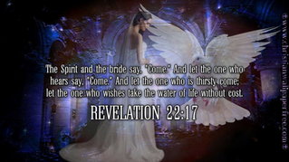 The characteristics of the Bride of Christ