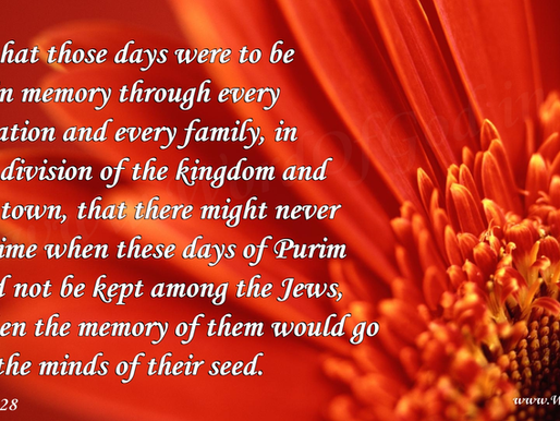 One man's thoughts on various aspects of the Iran war by Guest Blogger Ian Atkin.