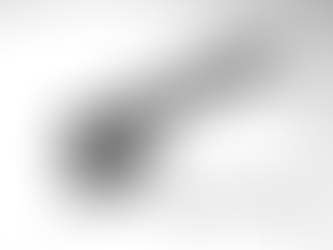 Christian Liberty and Life in the Spirit.