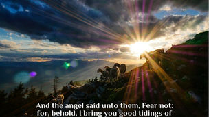 A journey from Genesis to the Nativity