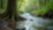 Deep Dive into Psalm 1 Sermons