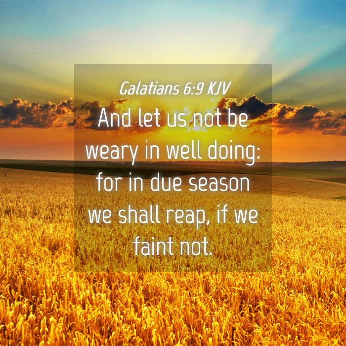 Do Good to All—Especially the Household of Faith