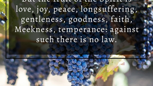 The fruit of the Spirit is love...
