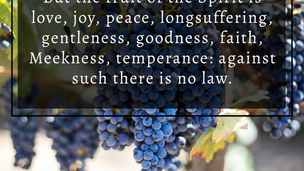 The fruit of the Spirit is love...