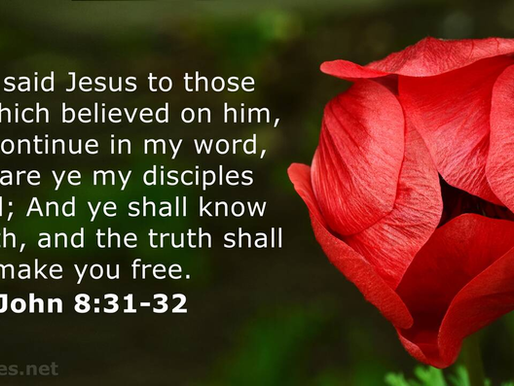 Believer versus disciple: what sets them apart in your faith journey?