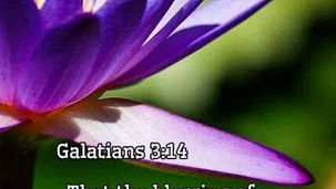 “Christ has redeemed us from the curse of the law, having become a curse for us—for it is written, ‘Cursed is everyone who hangs on a tree’—that the blessing of Abraham might come upon the Gentiles in Christ Jesus, that we might receive the promise of the Spirit through faith.”