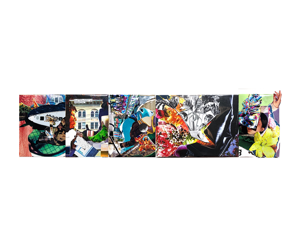 collage.png