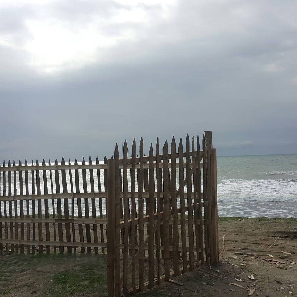 Miniatura: TERRENO CRUCITA [LAS GILCES]