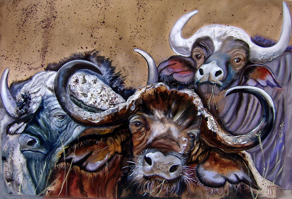 "Les Buffles"