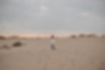 DSC00798.jpg