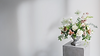 Header-images-Barb's-Backyard-Blooms-Brand-FINAL-03.png