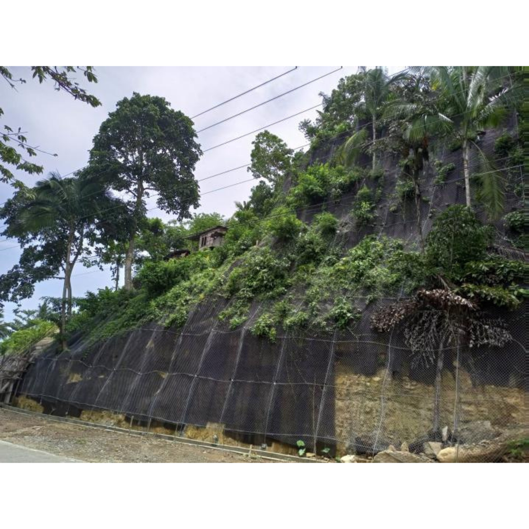 Isabel, Abijao, Merida Leyte