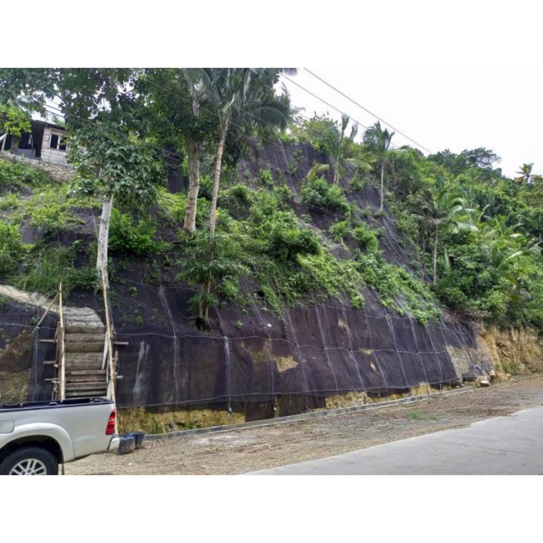 Isabel, Abijao, Merida Leyte