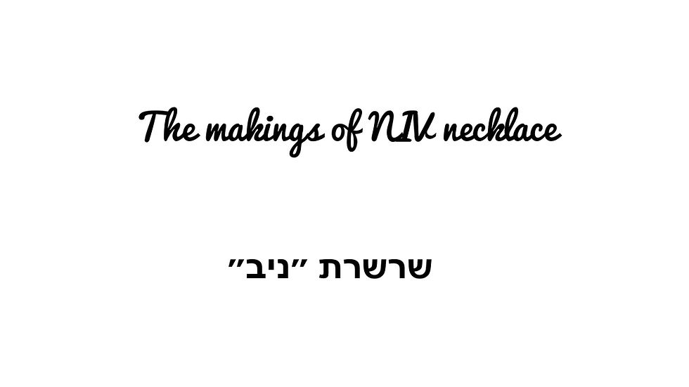 תמונה ממוזערת: שרשרת גורמט כסוף ולבן - נדב