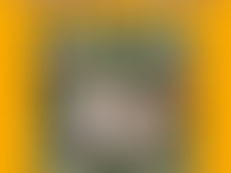 Help de egels de winter