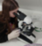 Sarah onderzoekt mest van de egels op longworm