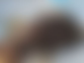 Vijf piepkleine egeltjes gered dankzij oplettend meisje