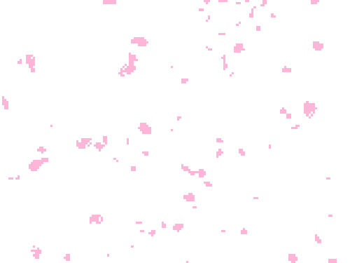 cherry-blossom-gif-png-4.gif