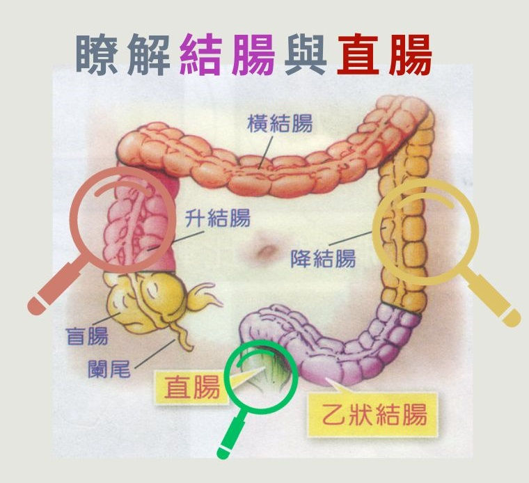 結腸直腸癌