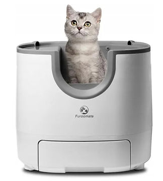 Capture d’écran 2025-11-04 213436.jpg