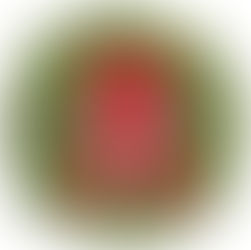 Holly-Day Wreath Pick Up Information