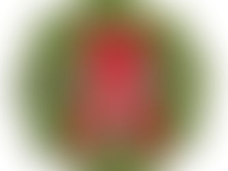 Holly-Day Wreath Pick Up Information