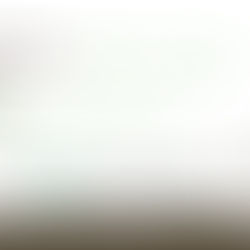 Elizabeth Abbas of Giving Tree Realty joins Hands for Holly Fund as a Corporate Sponsor