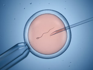 רובוטים לומדים לייצר תינוקות אנושיים. עשרים כבר נולדו